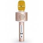 Bezprzewodowy mikrofon karaoke z głośnikiem Technaxx Bluetooth, do 10m (srebrno-złoty)