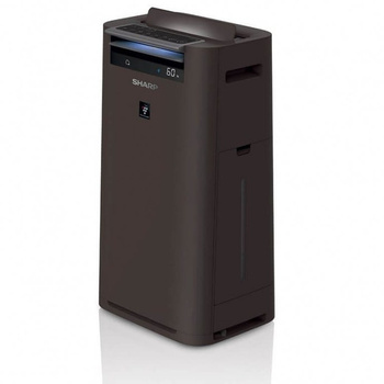 Oczyszczacz powietrza Sharp UA-HG40E-TS01