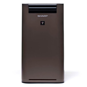 Oczyszczacz powietrza Sharp UA-HG40E-TS01