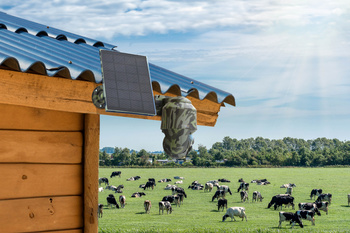 Kamera Technaxx 4G PT Dome TX-290 z panelem solarnym
