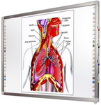 Zestaw Interactive iBoard 82 + projektor Epson EB-520 EDU + uchwyt + okablowanie + nauczyciel.pl