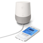 Google Home White Slate/Uszkodzone opakowanie