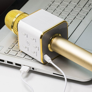 Bezprzewodowy mikrofon karaoke z głośnikiem Technaxx Bluetooth, do 8m (złoto-biały)