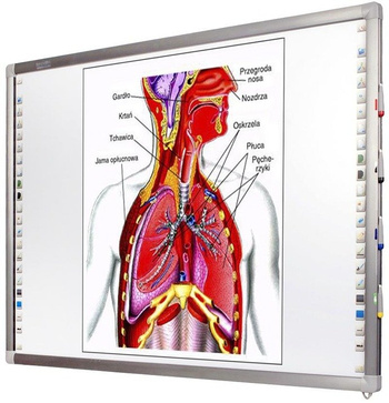 Zestaw Interactive iBoard 82 + projektor Epson EB-520 EDU + uchwyt + okablowanie + nauczyciel.pl