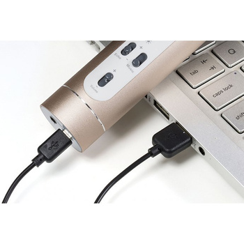 Bezprzewodowy mikrofon karaoke z głośnikiem Technaxx Bluetooth, do 10m (srebrno-złoty)