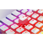 Klawiatura gamingowa Steelseries Apex 7 TKL RGB Red Switch Ghost (mechaniczna)