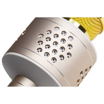Bezprzewodowy mikrofon karaoke z głośnikiem Technaxx Bluetooth, do 10m (srebrno-złoty)
