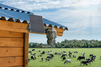 Kamera Technaxx 4G PT Dome TX-290 z panelem solarnym