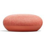 Google Home Mini Coral
