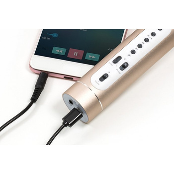 Bezprzewodowy mikrofon karaoke z głośnikiem Technaxx Bluetooth, do 10m (srebrno-złoty)