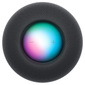 Apple HomePod Mini (space gray)