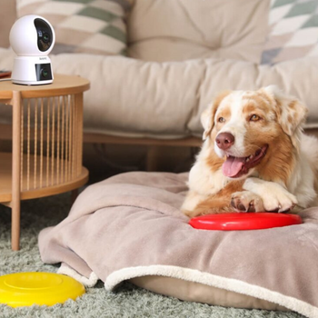 Kamera wewnętrzna Arenti Wi-Fi 3MP+3MP z podwójnym obiektywem i funkcją obrotu