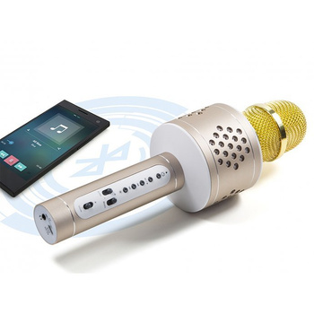 Bezprzewodowy mikrofon karaoke z głośnikiem Technaxx Bluetooth, do 10m (srebrno-złoty)